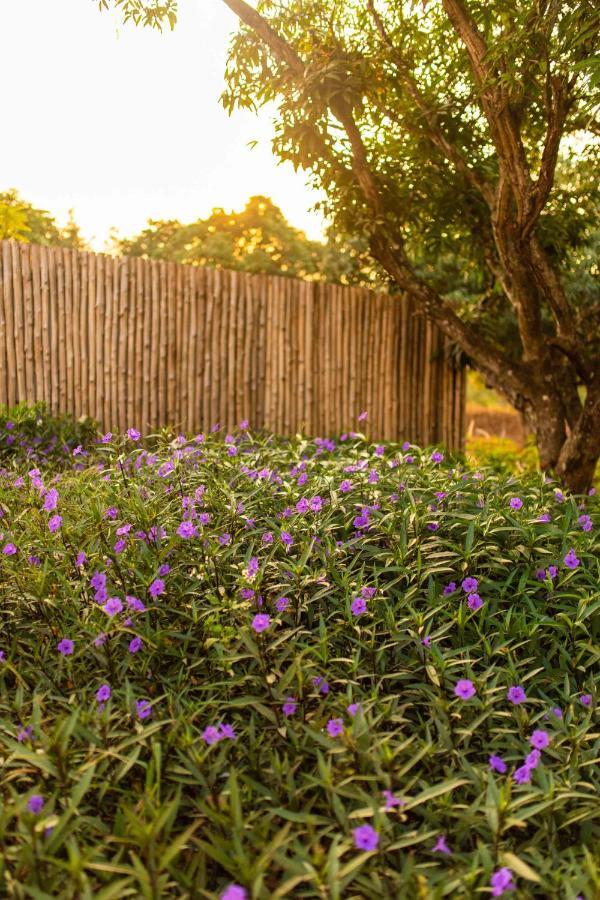 Vila Roukh Kiri Khaoyai, The Centara Collection Pak Chong Exteriér fotografie
